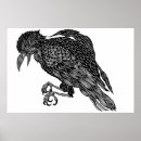 Suche nach krähe poster Crow