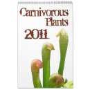 Suche nach pflanze kalender Blume