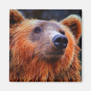 Suche nach pelz magnete Natur