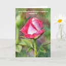 Suche nach vers karten Rosa
