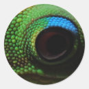 Suche nach eyeball aufkleber Fotografie