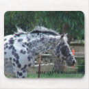 Suche nach stallion mousepads Pferde