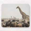Suche nach einzeln mousepads Tier