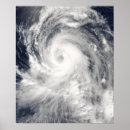 Suche nach taifun poster Wahre farbe