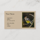 Suche nach singvogel visitenkarten Wildvogel