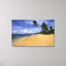 Suche nach tropen leinwandbilder Tropisch