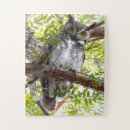Suche nach owl alle puzzle Vögel