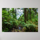 Suche nach tropische flora poster Grün