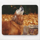Suche nach kanada tag mousepads Vertikal