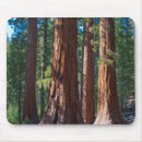 Suche nach baumstamm mousepads Wald