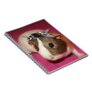 Suche nach meerschweinchen kleine notizbücher Haustier