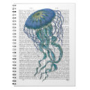 Suche nach quallen kleine notizbücher Meeresleben