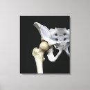 Suche nach menschliche knochen leinwandbilder Biologie