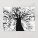 Suche nach genealogie postkarten Natur