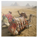 Suche nach kairo fliesen Ägypten
