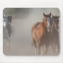 Suche nach galopp mousepads Tier
