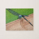 Suche nach dragonfly puzzle Tierwelt