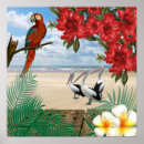 Suche nach tropischer vogel poster Jede person