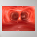 Suche nach lungs poster Illustration