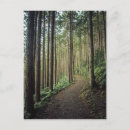 Suche nach gebirgslandschaft postkarten Wald