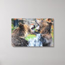 Suche nach grizzlybär leinwandbilder Natur
