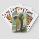 Suche nach affe spielkarten Für alle