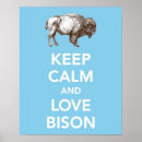 Suche nach weißer büffel poster Westen