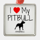 Suche nach pitbull ornamente Pillbulle
