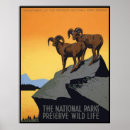 Suche nach wildes leben poster Wpa
