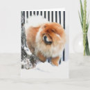 Suche nach chow chow karten Welpe