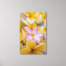 Suche nach oahu leinwandbilder Blume