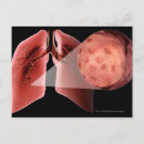 Suche nach innere organe postkarten Teil