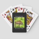 Suche nach yellowstone Tierwelt