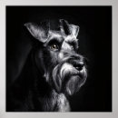 Suche nach schnauze poster Jede person