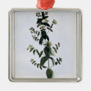 Suche nach sammlung ornamente Botanisch
