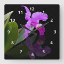 Suche nach orchideen wanduhren Blumen