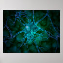 Suche nach synapse poster Verbindung