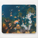 Suche nach japan mousepads Fische