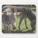 Suche nach drei tiere mousepads Natur