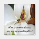 Suche nach liebe meines lebens magnete Familie