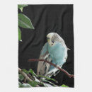Suche nach papagei geschirr tücher Vögel