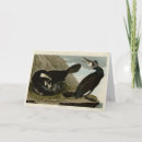 Suche nach kormoran karten Vogelvogel