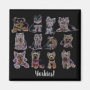 Suche nach yorkies magnete Jede person