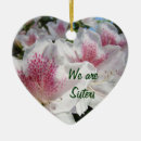 Suche nach azalee ornamente Rosa