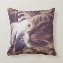 Suche nach schläfrig kissen Schlaf