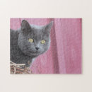 Suche nach kitty cat puzzle Jede person
