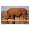 Suche nach schlamm poster Wasser