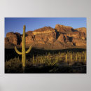 Suche nach arizona poster Saguaro