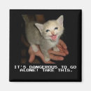 Suche nach allein magnete Katze