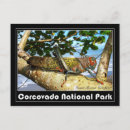 Suche nach insect postkarten Bug